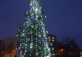 KALVIŠKIŲ EGLUTĖS ĮŽIEBIMO ŠVENTĖS AKIMIRKOS