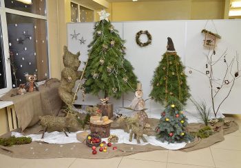 „EKOLOGIŠKOS KALĖDOS-2017″