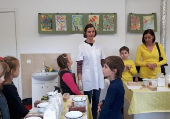 DU PRADINUKŲ MINIPROJEKTAI