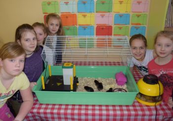 VAIKAI STEBĖJO KAIP Į PASAULĮ ATEINA NAUJA GYVYBĖ