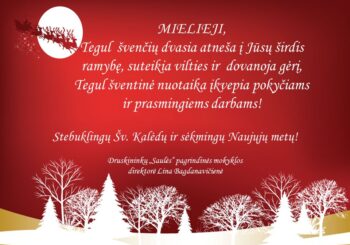 STEBUKLINGŲ ŠV.KALĖDŲ IR SĖKMINGŲ NAUJŲJŲ METŲ!